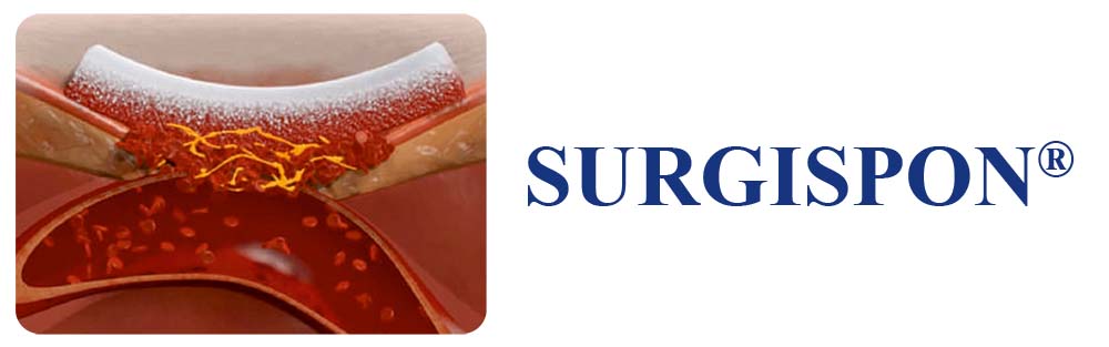 P14E Surgispon logo